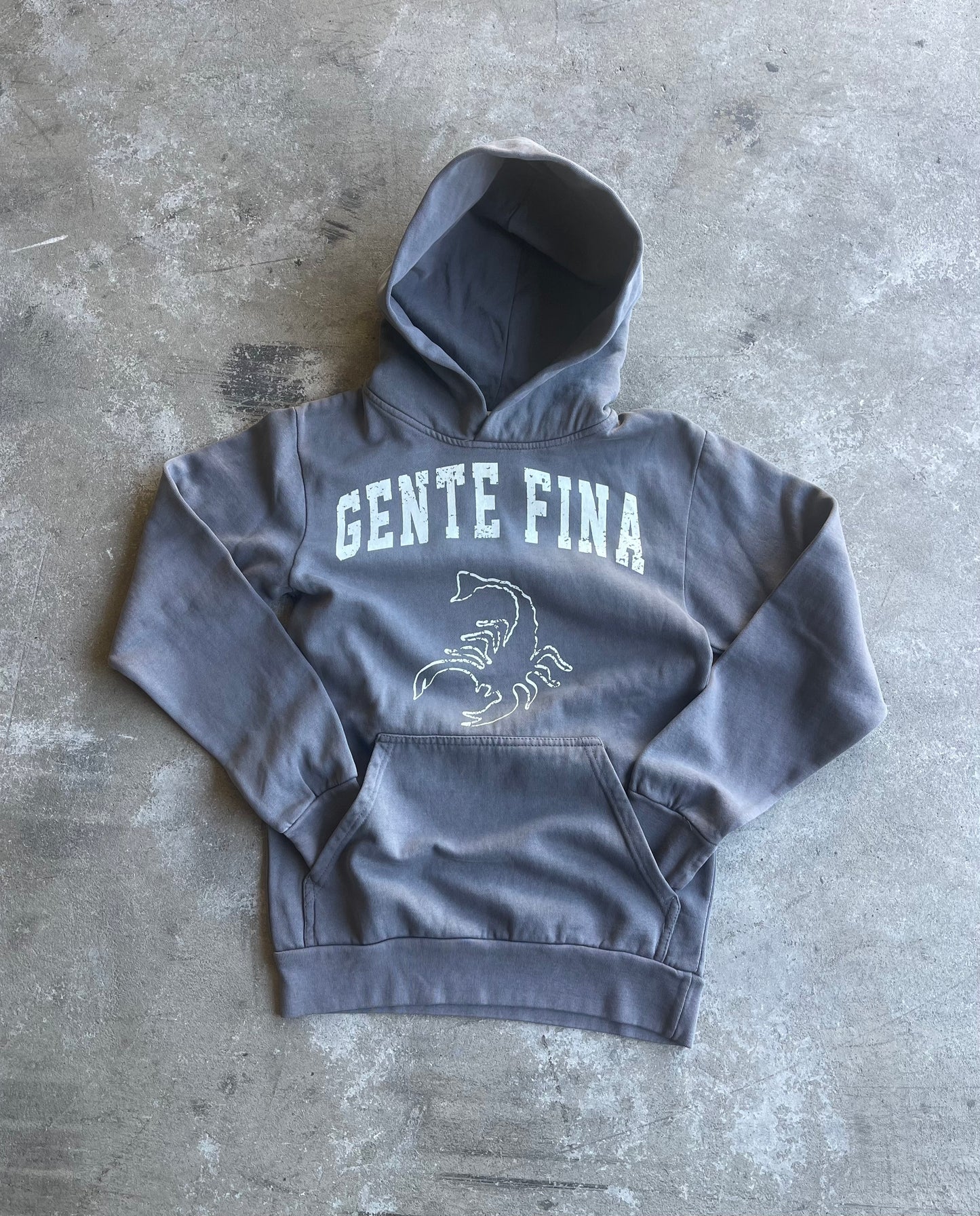 VARSITY LOGO HOODIES