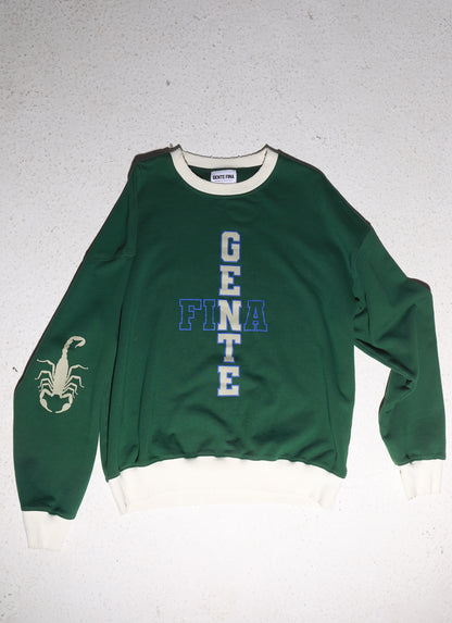 DISTRESSED COLLEGIATE CREWNECK